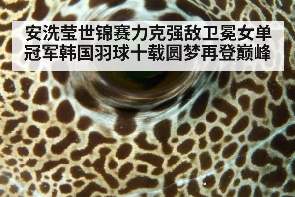 安洗莹世锦赛力克强敌卫冕女单冠军韩国羽球十载圆梦再登巅峰